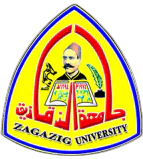 Engineering facilities of Zagazig University